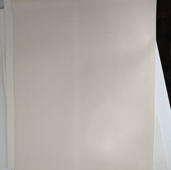 Scouting Through The Eyes Of Norman Rockwell Series 3001 - Picture 14 of 14